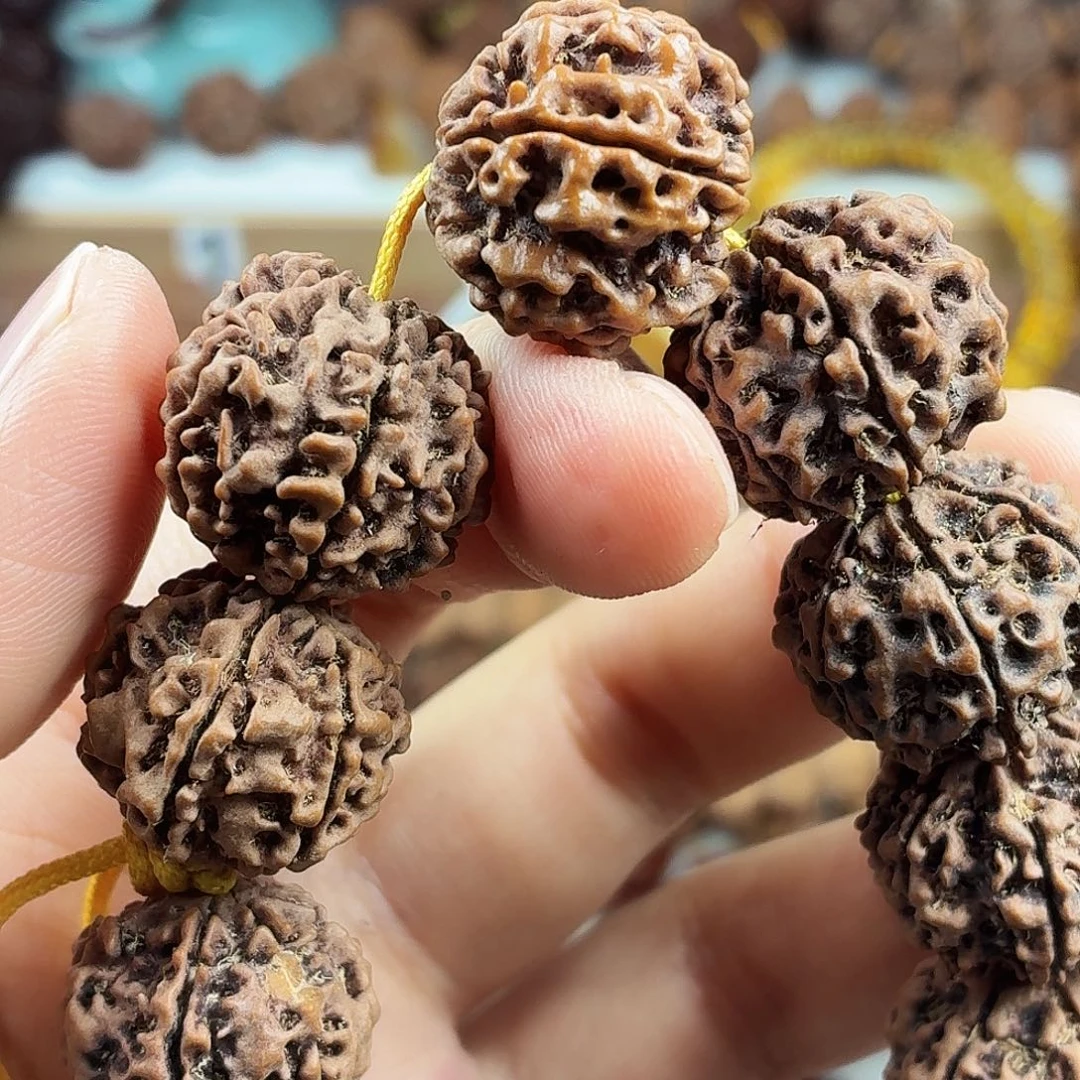 手串金刚菩提稀有精品6瓣蜂窝双龙铁籽