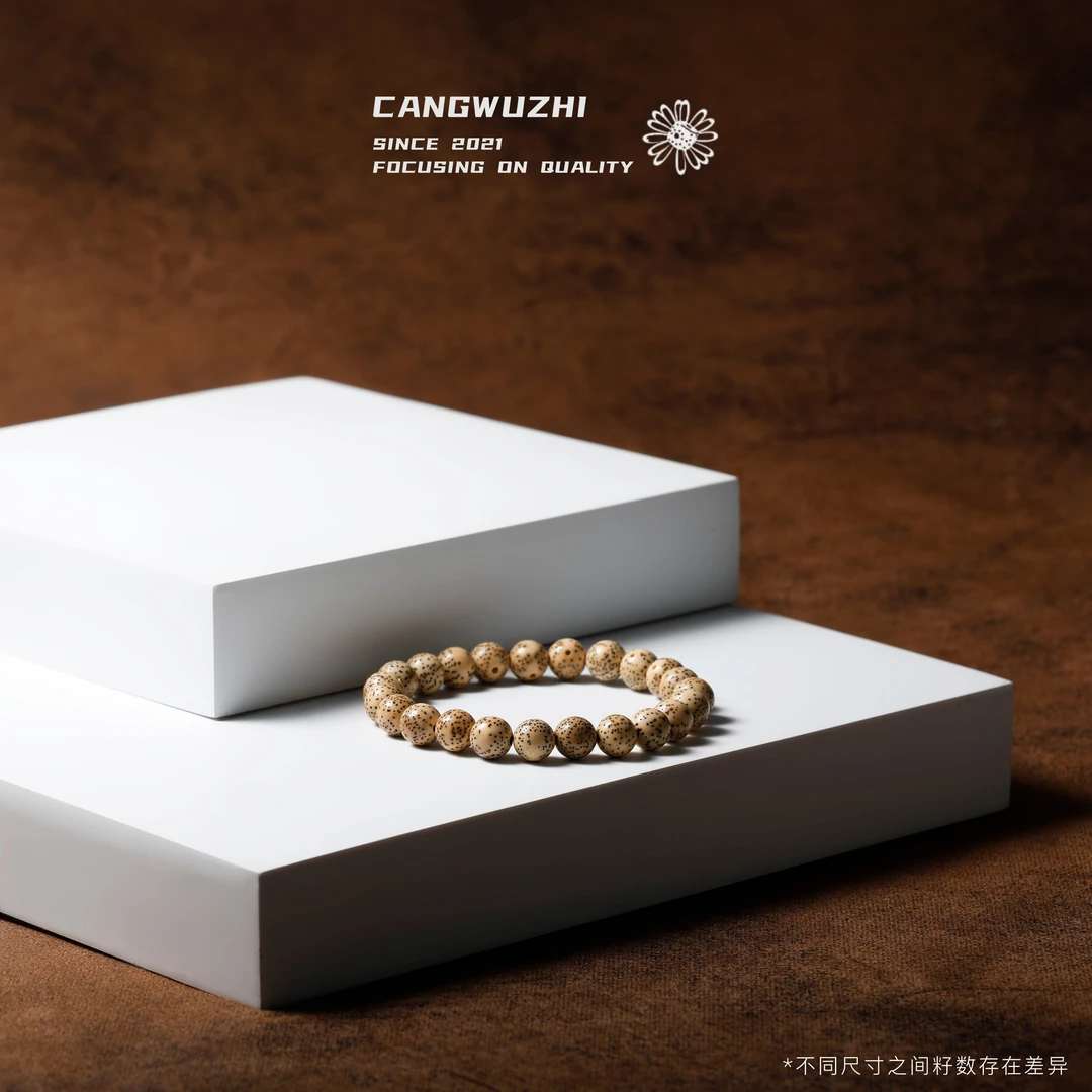 【藏物志】欢见 陈籽 小袋 升级款 圆珠  星月菩提手串