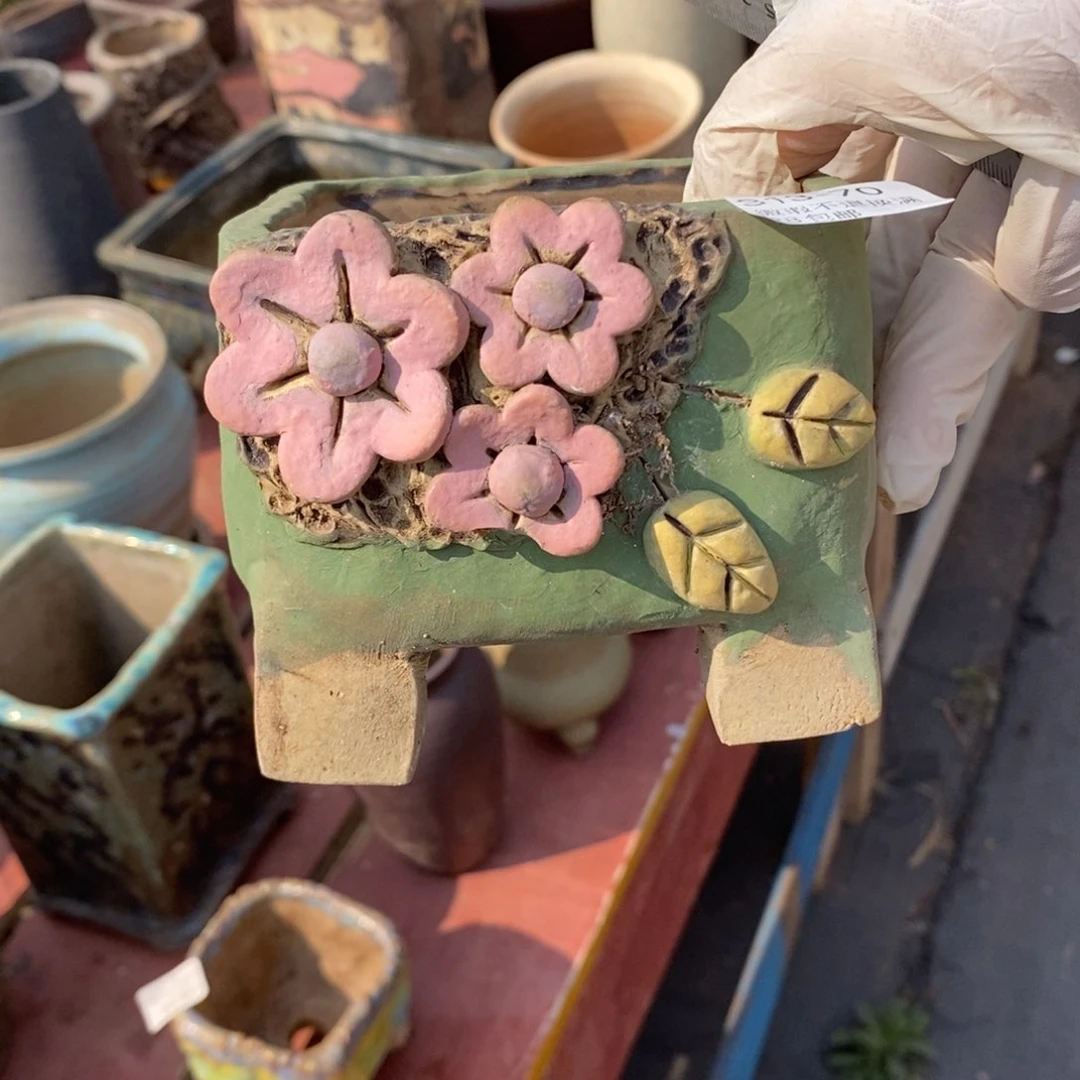 云**轻70号多肉盆一号