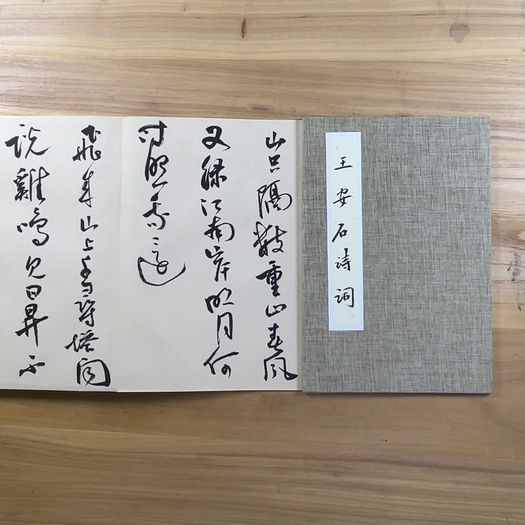书法中书协老师作品