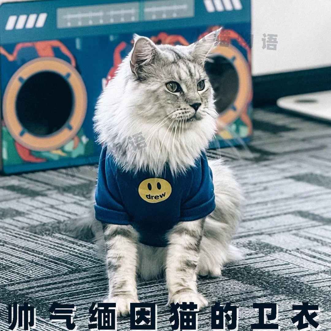 ++缅因猫衣服猫咪秋冬季天保暖穿的衣服二三个月小公猫帅气缅因专
