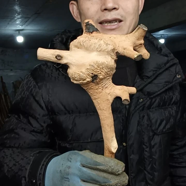 稳定木毛**般贵州檬子木   铁马鞭   根艺  半成品