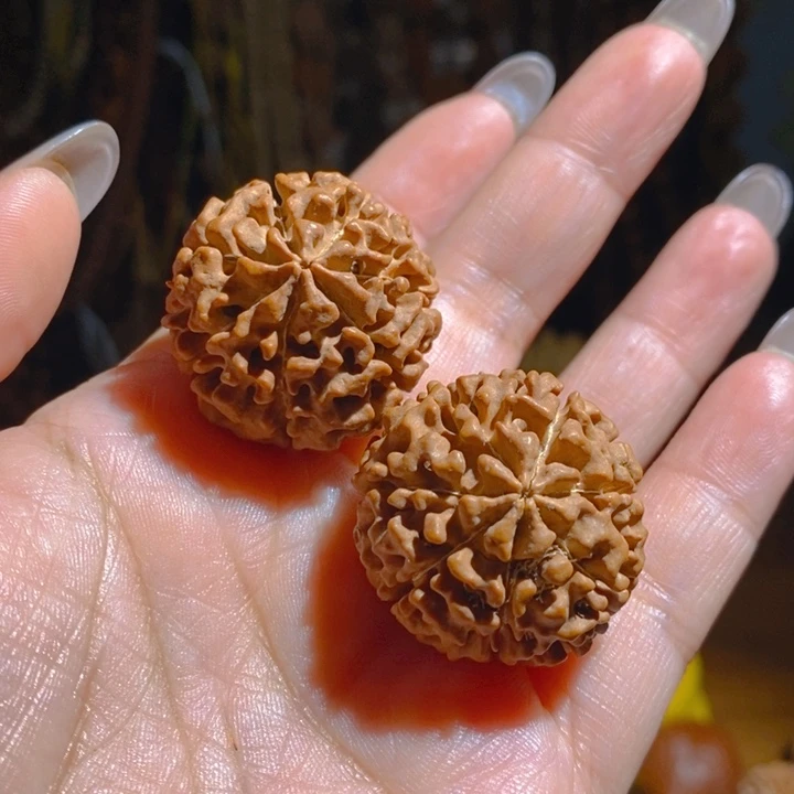 野生多瓣大金刚把件