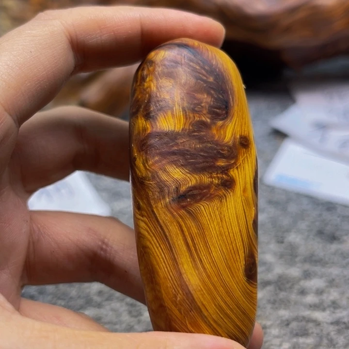 柏木（崖柏）崖柏104