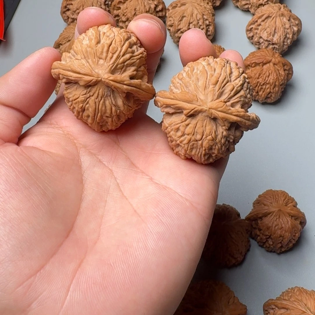 边肚同尺43白狮子12345678900