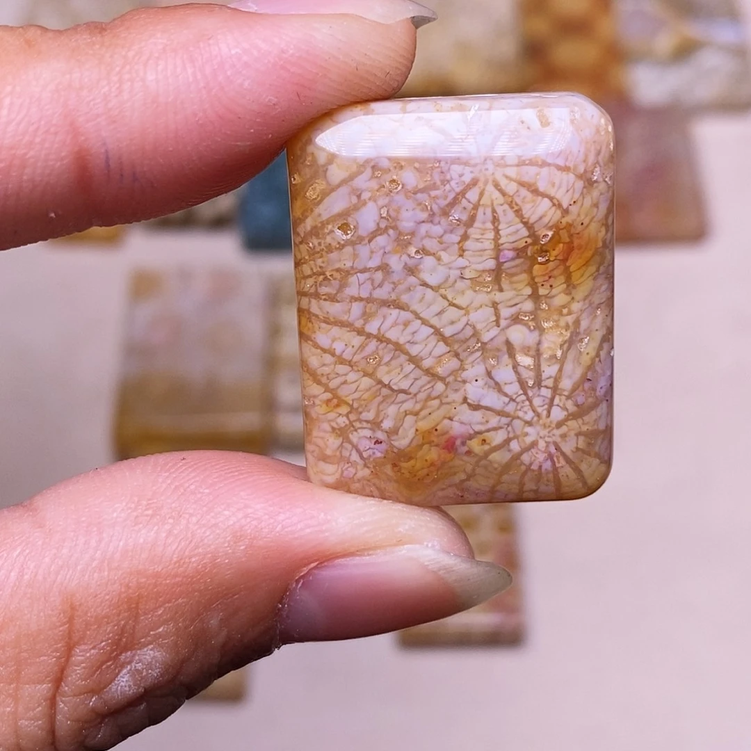 甄***儿硅化玉合金珊瑚玉