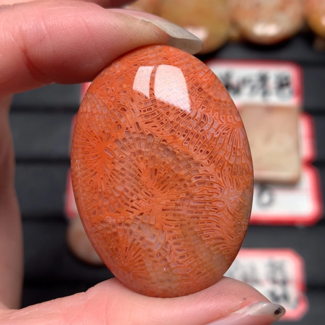 【闪购商品】硅化玉颈饰未镶嵌金**缘