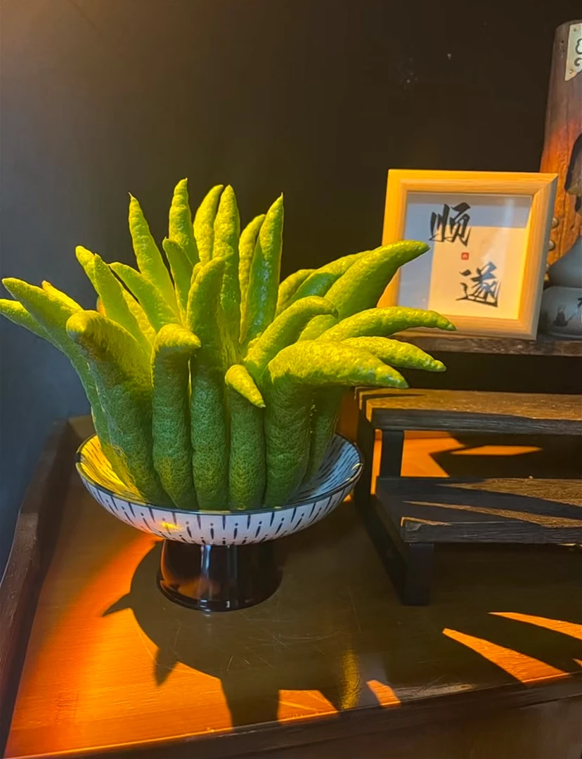高品质云南高山新鲜佛手柑可观赏食用还能做天然香薰