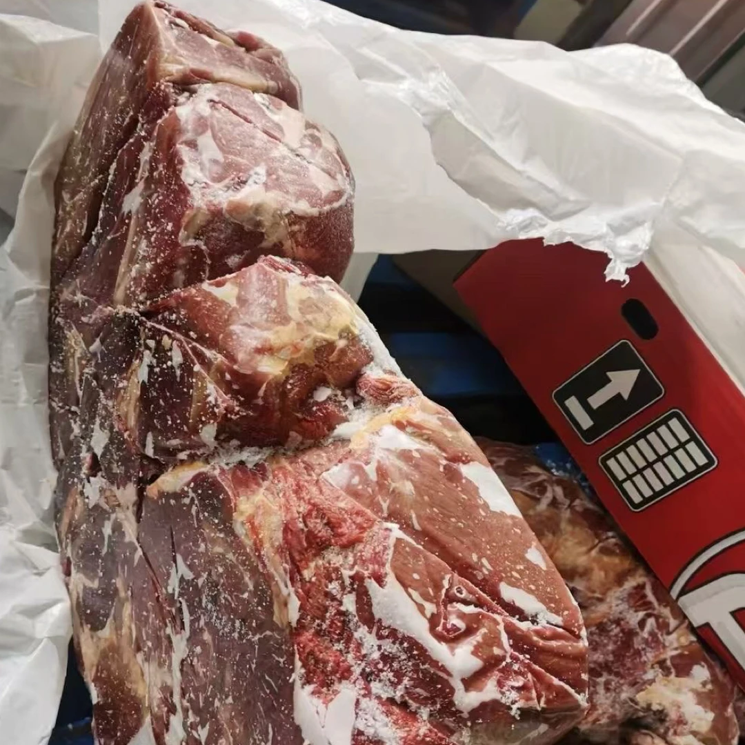 智利牛前驱冰冻牛前腿肉适合粉面馆红烧
