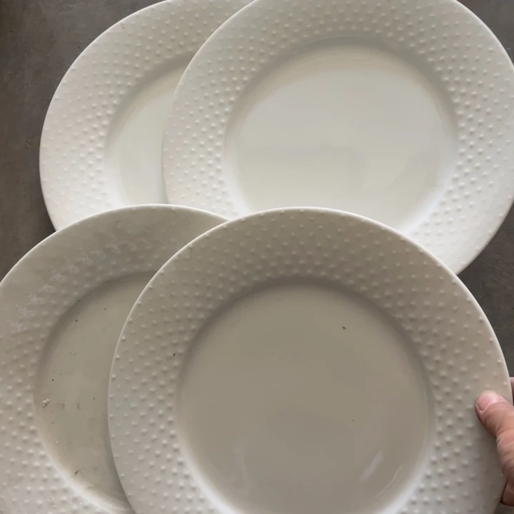 碟微瑕介意勿拍……4个10寸