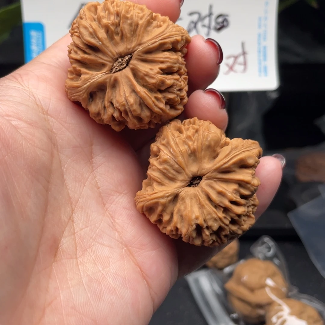 高***伙把件文玩核桃南将石