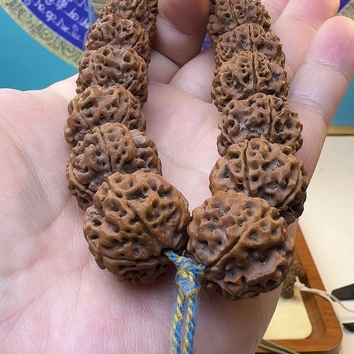 金刚菩提手串原生态大金刚双龙