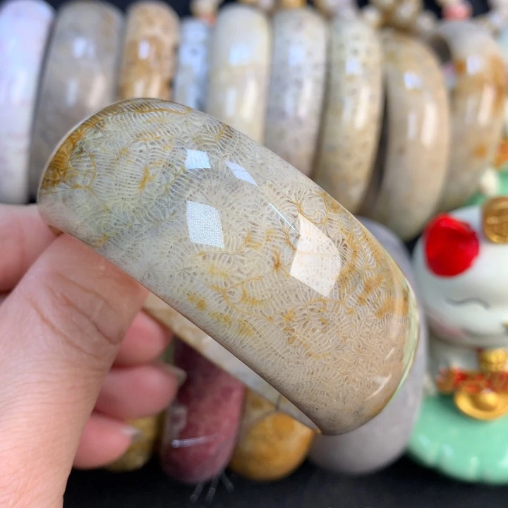 【闪购商品】硅化珊瑚（珊瑚玉）颈饰未镶嵌55+