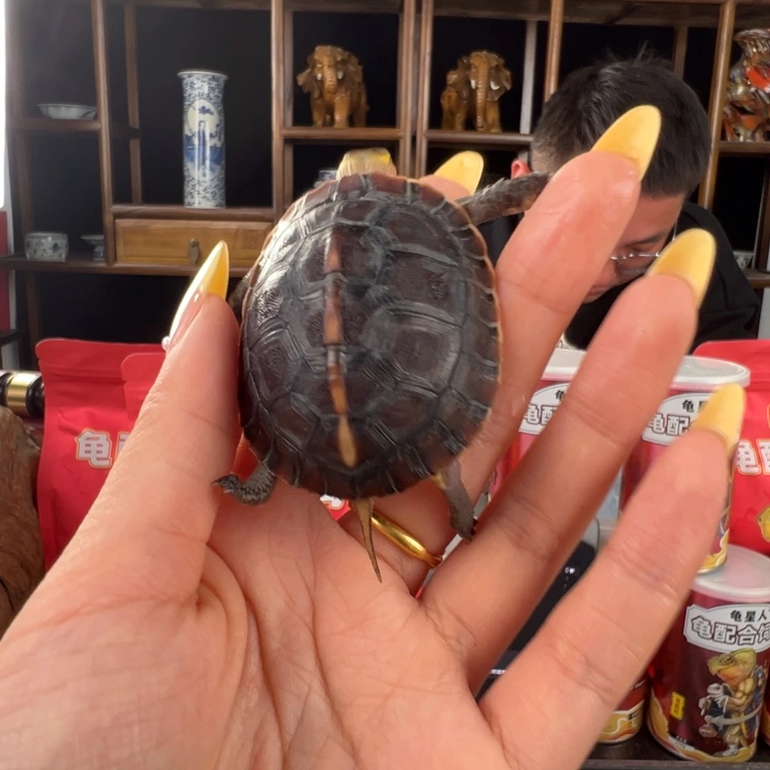 母手****安啦啦啦啦啦啦啦啦啦