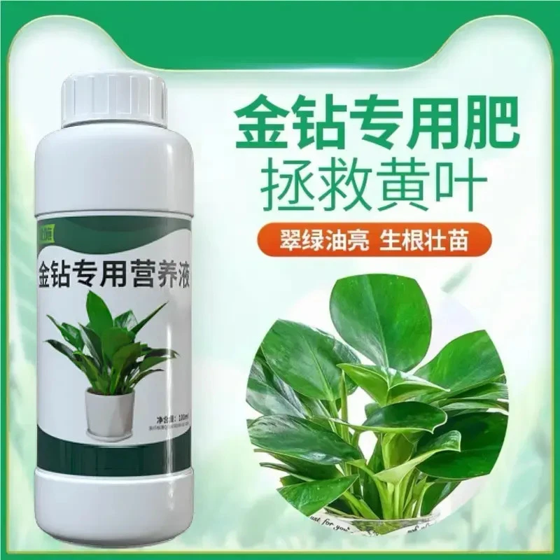 大叶金钻专用营养液肥黄叶卷边绿植通用型免稀释植物花肥料