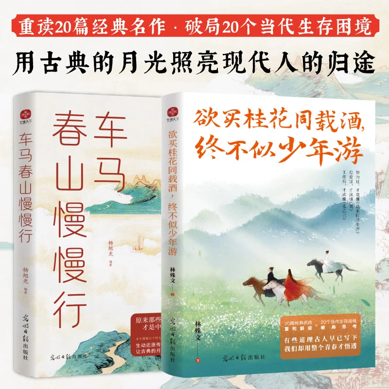 欲买桂花同载酒，终不似少年游 车马春山慢慢行