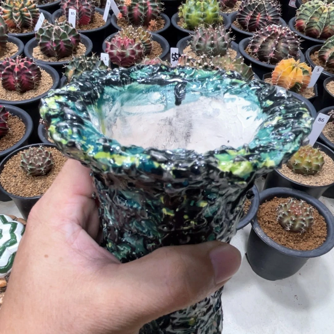 当前无花朵，栽培后可花朵泰系手工花盆