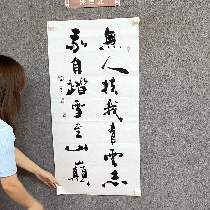 书法无人扶我青云志