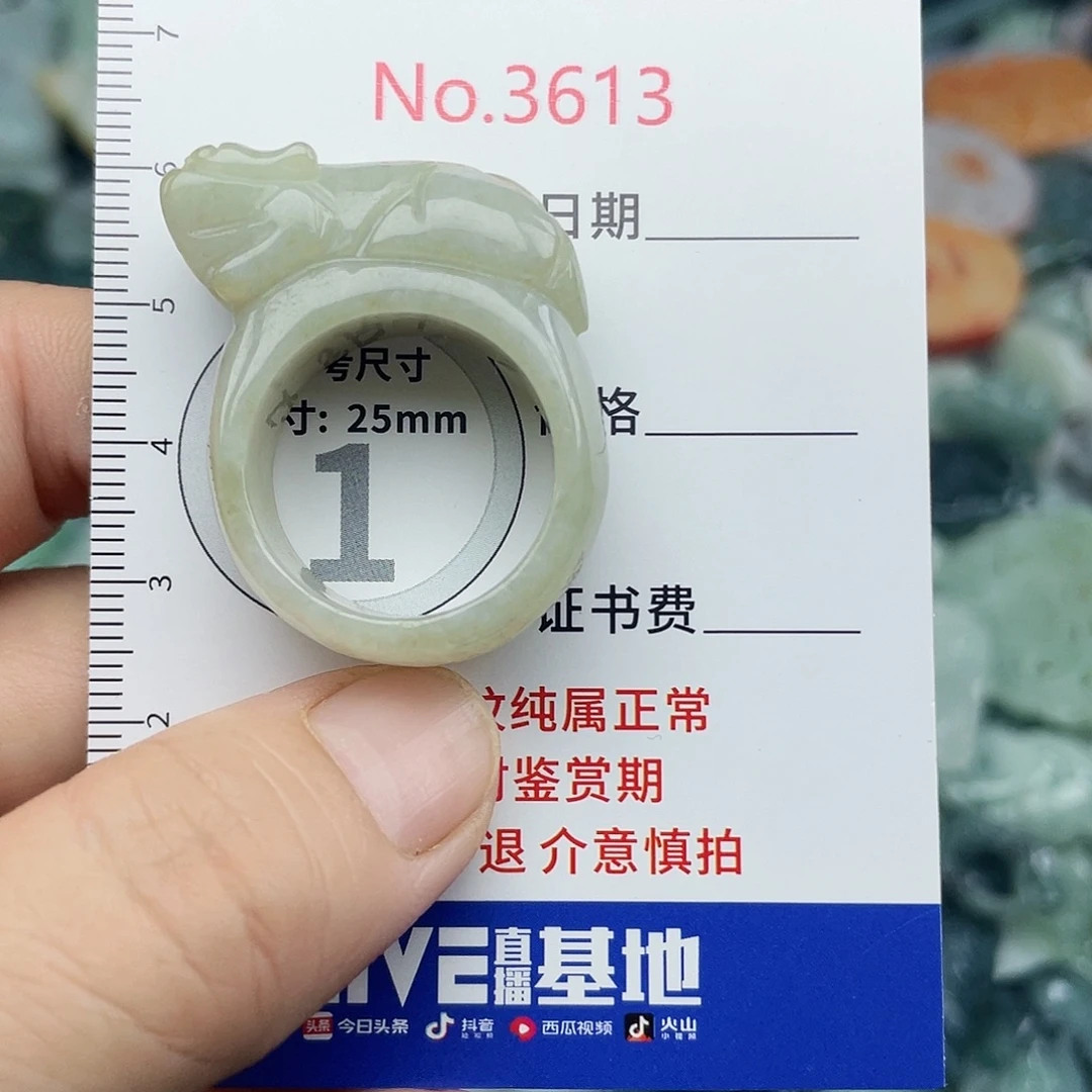 未镶嵌挂件翡翠3613