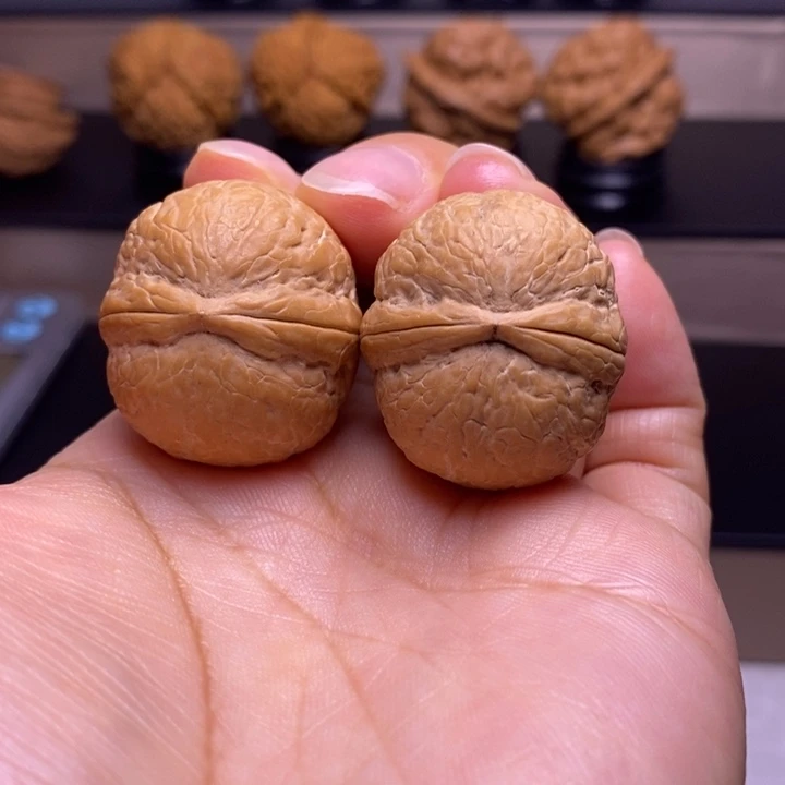 把件文玩核桃碧海龙珠24