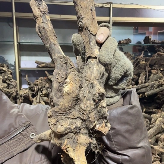 香榧木红*火琉璃的毛料摆件