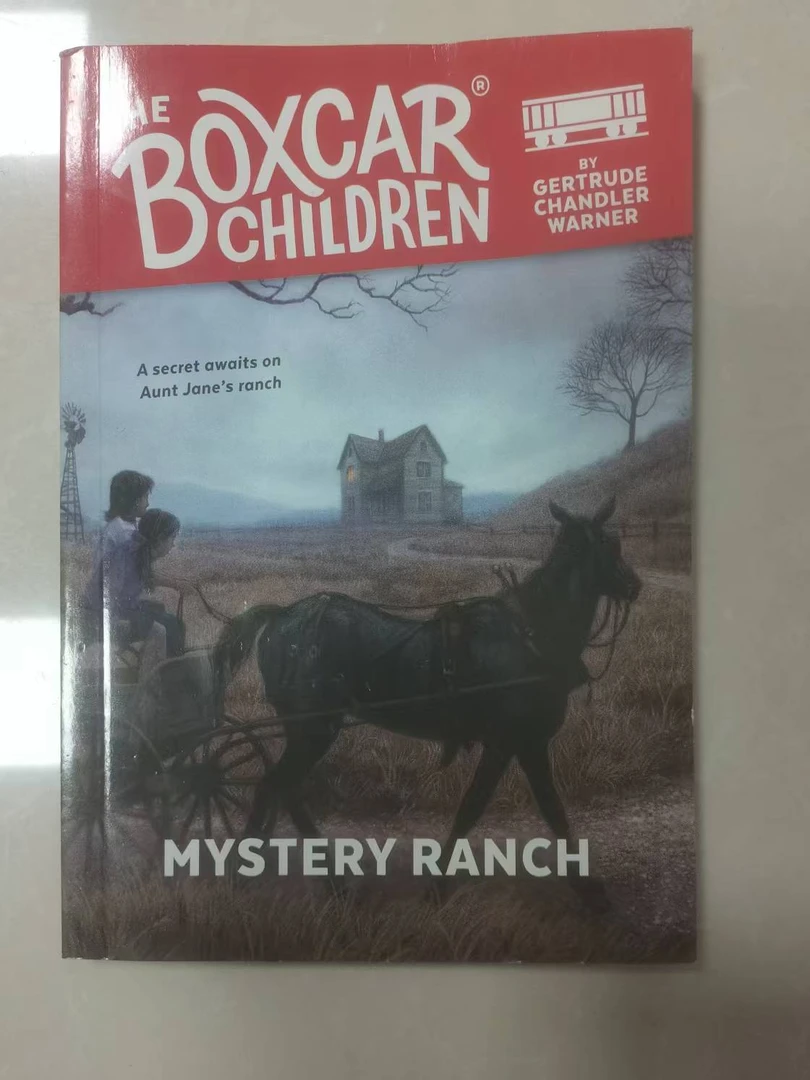 棚车少年