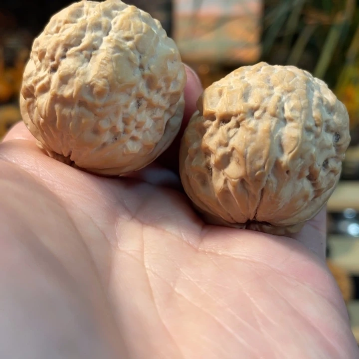 文玩核桃把件编号16