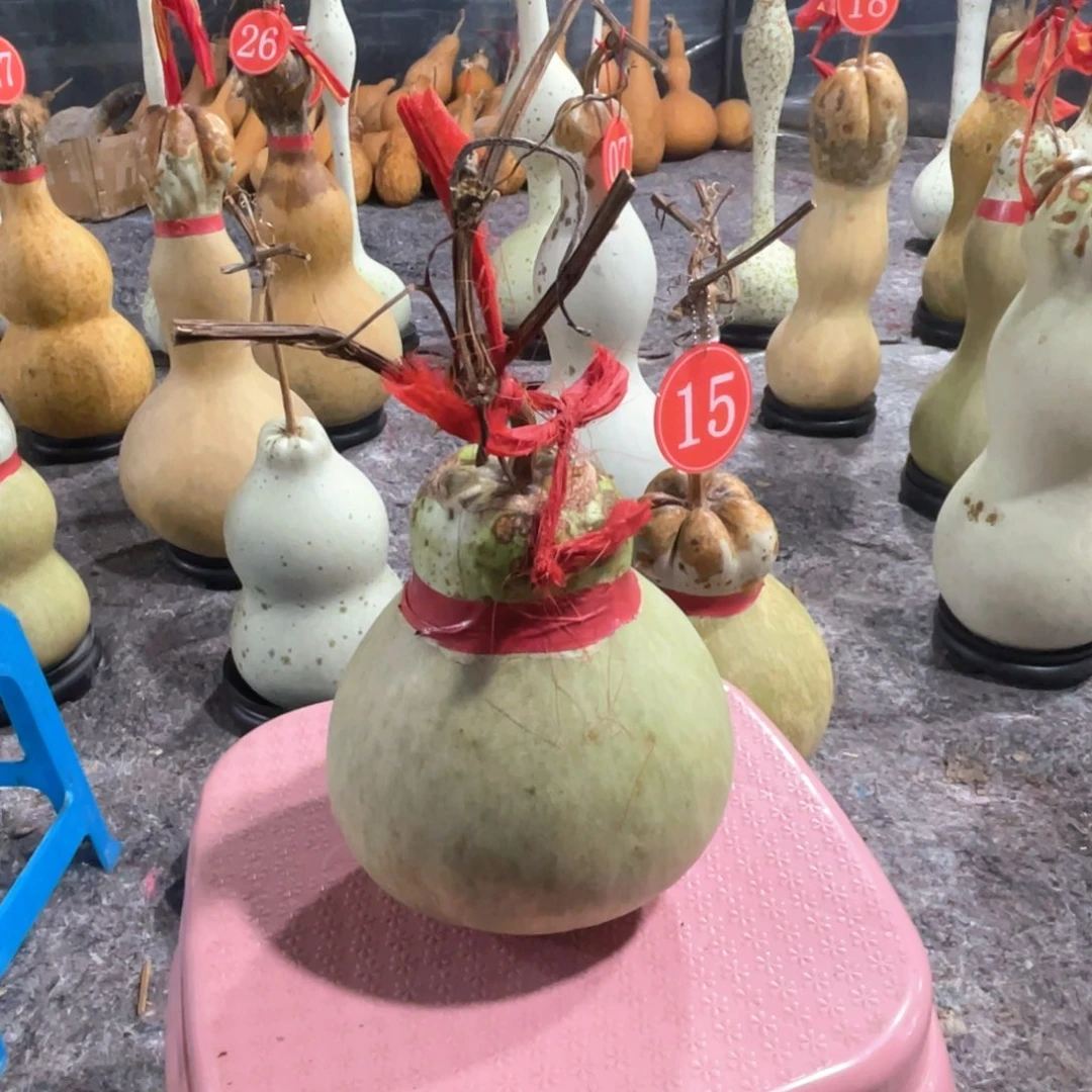 L***哥大叶紫檀（黑酸枝木类）