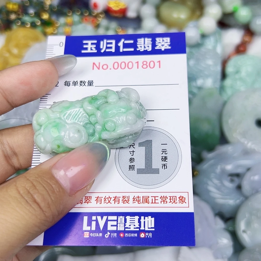 翡翠未镶嵌颈饰Qqqq