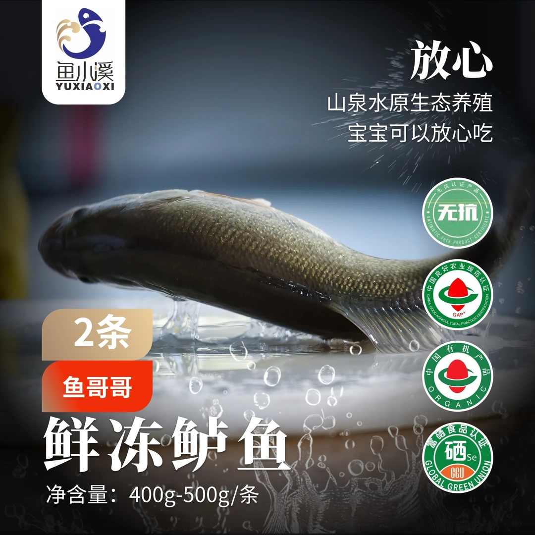 鱼小溪【生态养殖】山泉水鲈鱼两条400g/条蒜瓣肉美味鲜活宰杀开背
