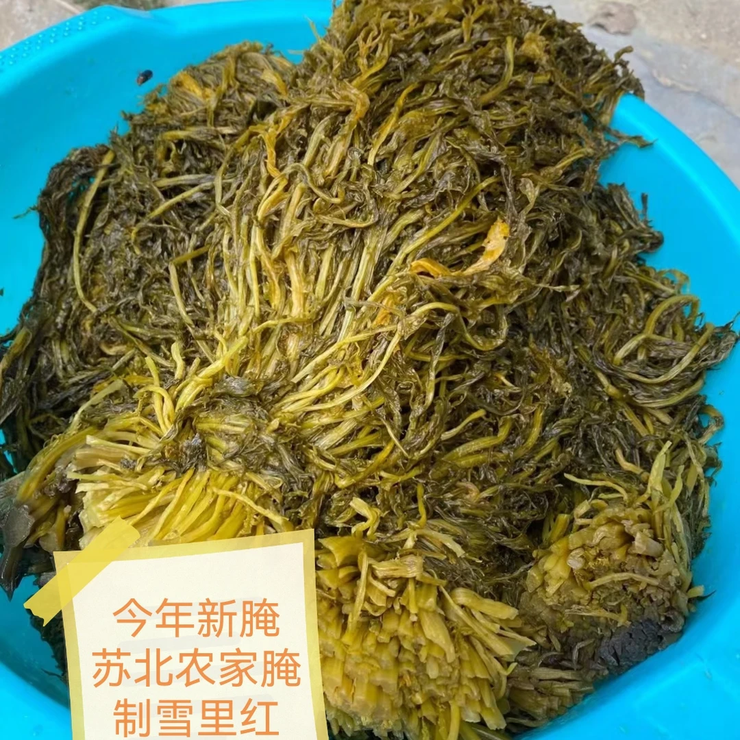 正宗苏北农家腌制雪里红雪菜下饭菜雪里红咸菜爽口酱腌菜整颗