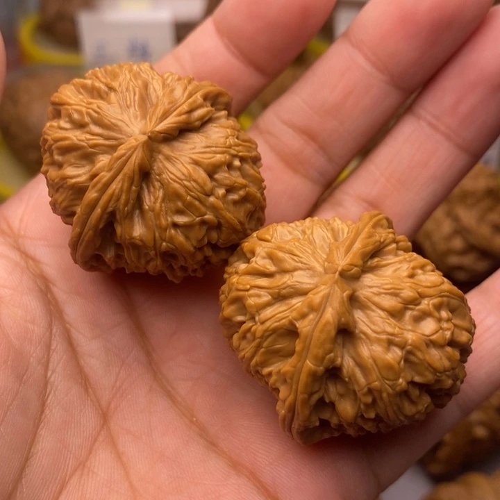 文玩核桃把件35白狮子头