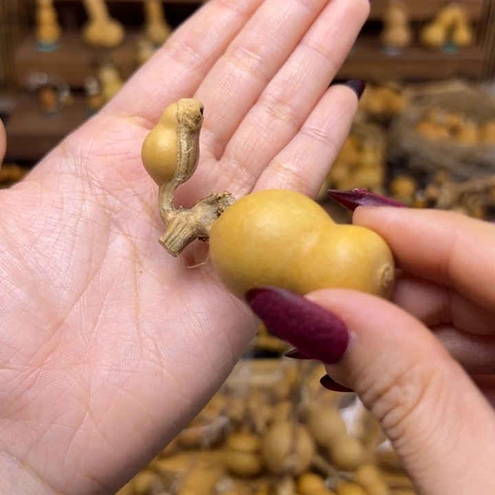 森***浅哈哈哈哈哈哈哈哈哈