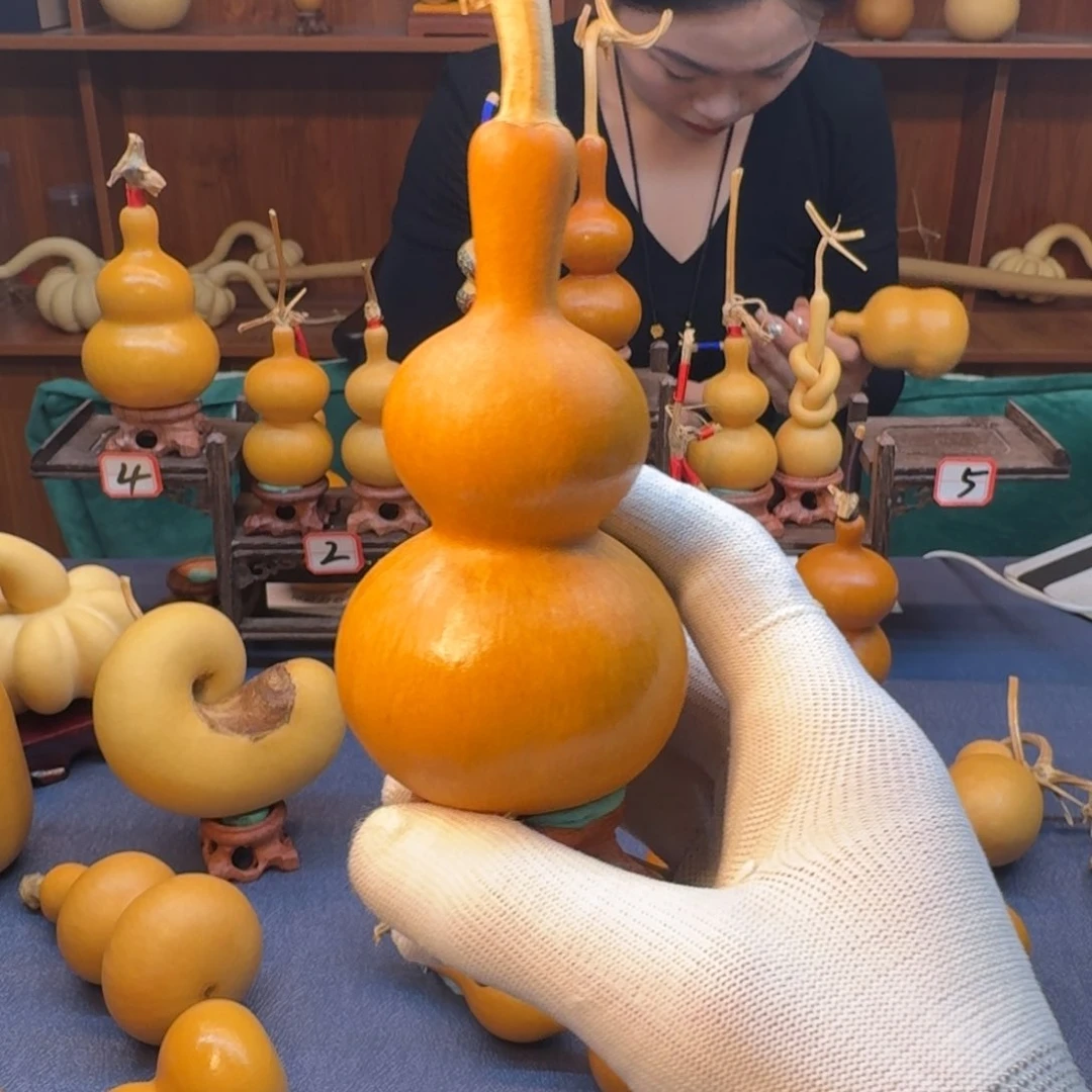 老皮葫芦放心玩哥