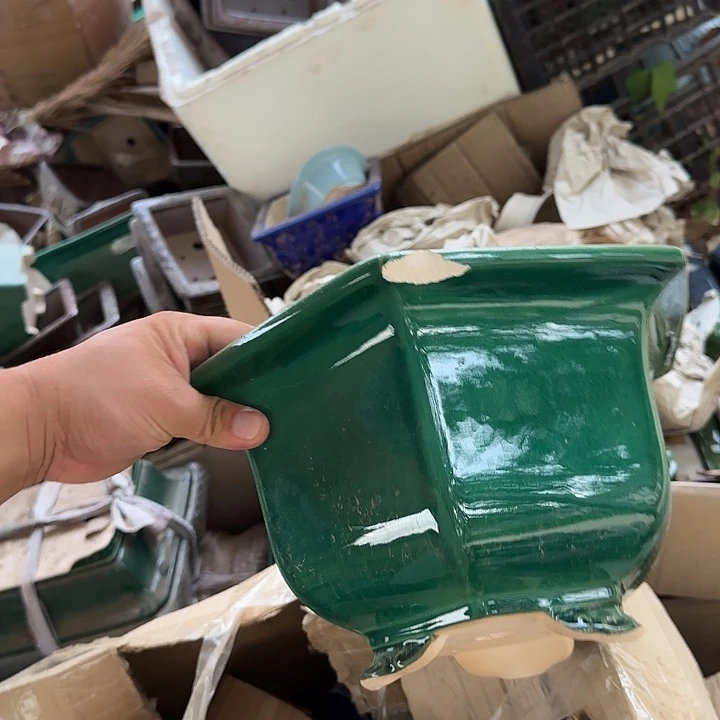 这一期太有意思咯嘛啊太