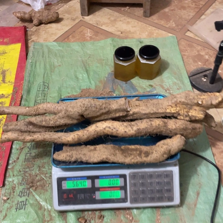 中国大陆广西野生风铃山药（5斤6）
