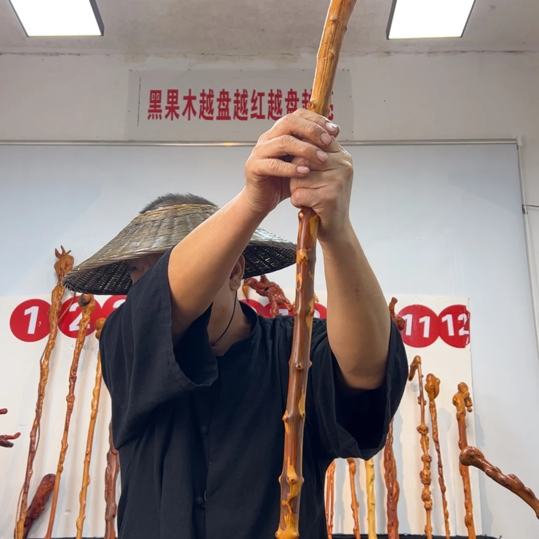 宁***风黑果木其他黑果木634