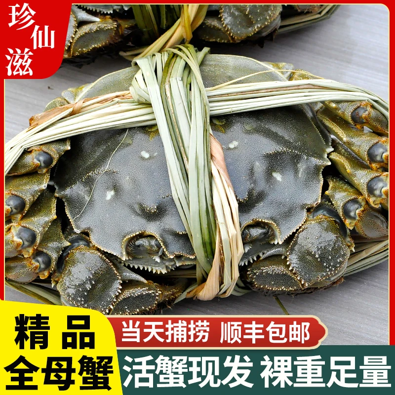 【 活蟹现货】溱湖簖蟹3.6-3.3两全母8只鲜活大闸蟹当天捕捞顺丰