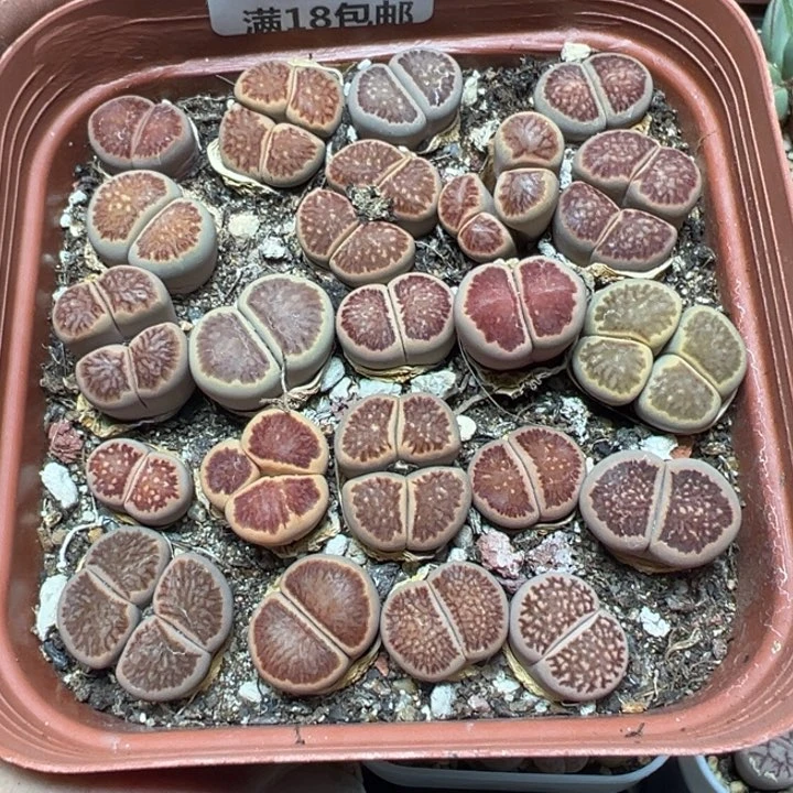 【闪购商品】 969。
