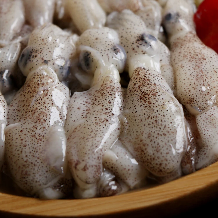 灯光小管鱿鱼白灼鱿鱼生鲜新鲜大鱿鱼大管笔管小乌贼海鲜水产鲜活