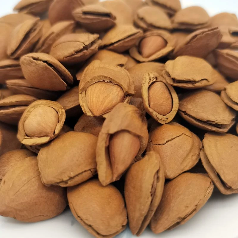 【到手一斤】新货开口杏核干果坚果休闲食品