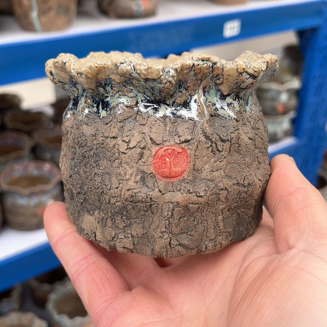 红陶刘***肉微瑕特价菠萝盆