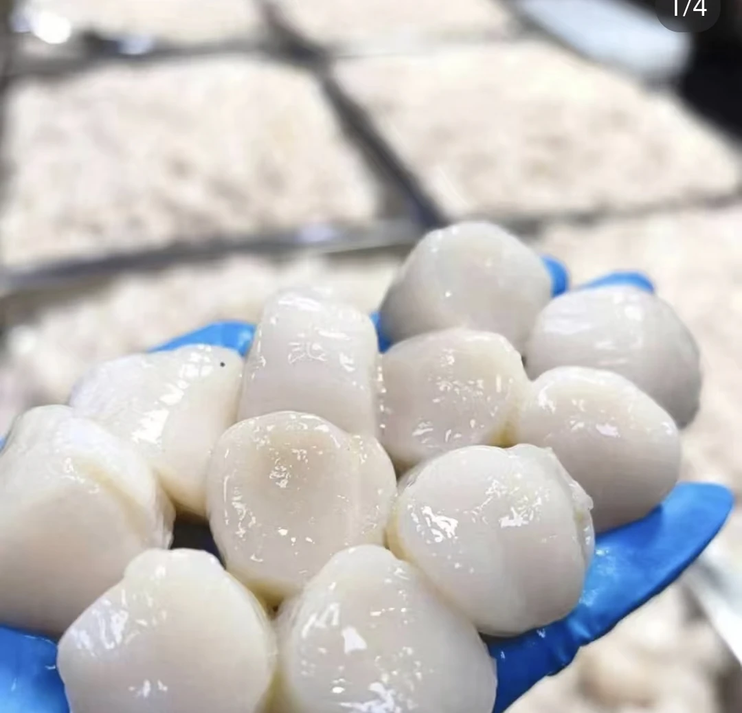 【二姐推荐】岛里鲜拔栉孔贝贝丁（液氮冻发）