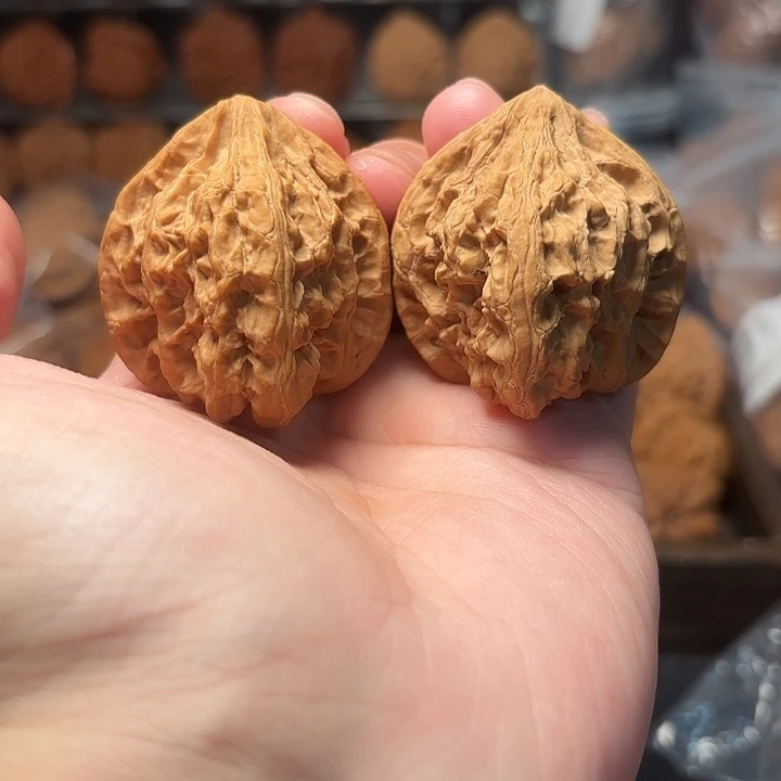 1文玩核桃火焰马蹄41-451