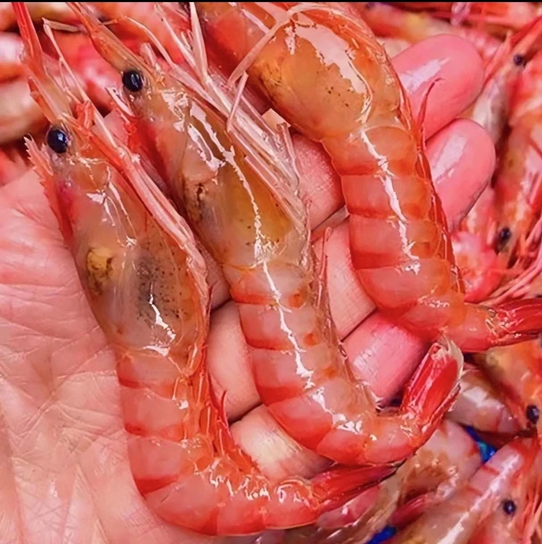 东海野生海捕三大金 顺丰包邮3斤净重