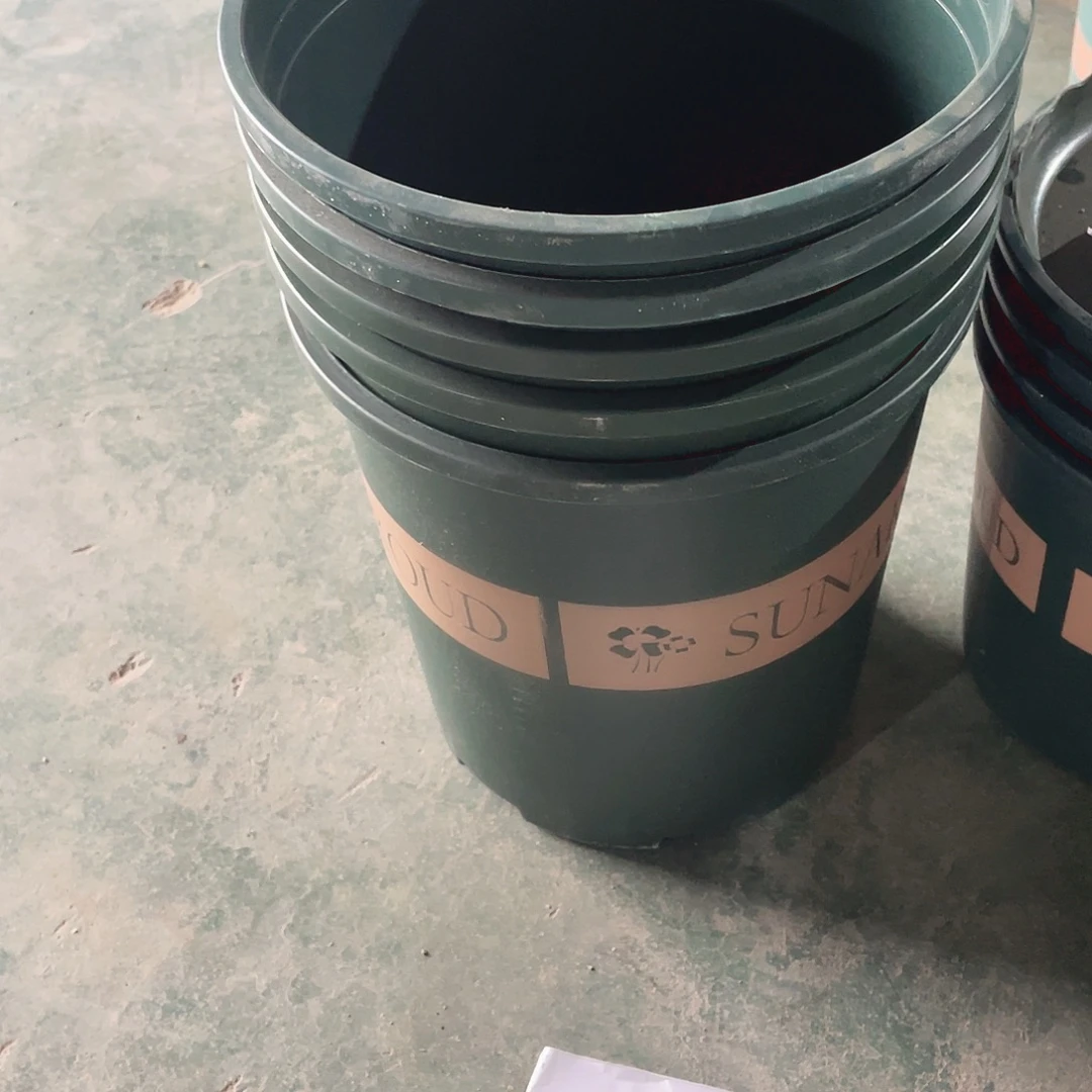 编号是44号的44号的