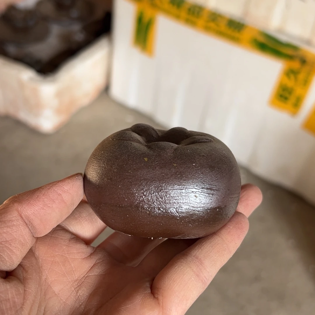 贵台龙窑龙窑柴烧茶壶A105