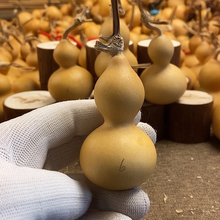 文玩葫芦 完美主义者 慎拍6