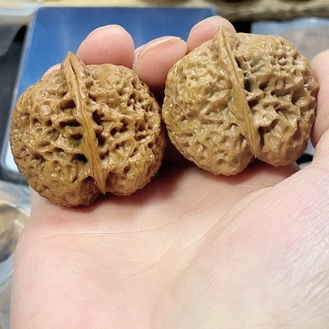 文玩核桃把件太平有象带彩色差42