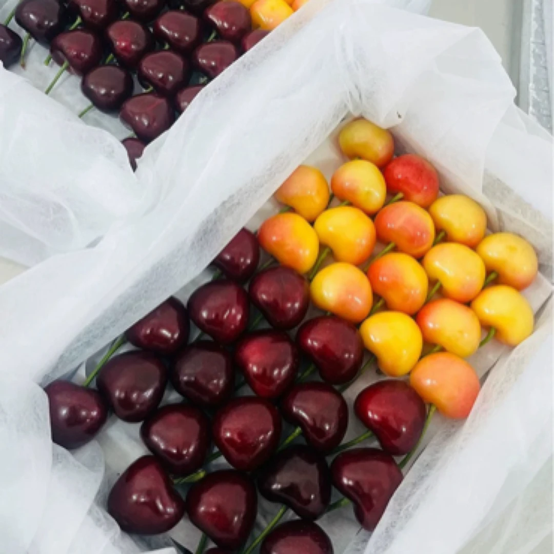 国产雷尼尔黄樱桃新鲜采摘纯甜无酸礼盒装4J雷尼尔2.4斤净重1.8美早